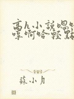 高h小说嗯哈嗯哼啊哈轻点