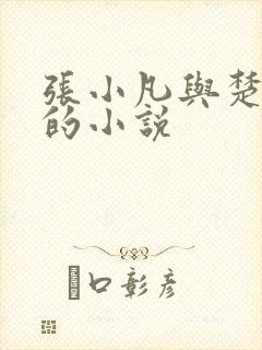 张小凡与楚清璇的小说