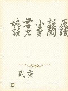 婉君小说原著小说免费阅读