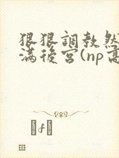 狠狠调教然后填满后宫(np高h)