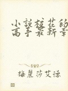 小说校花的贴身高手最新章节列表免费