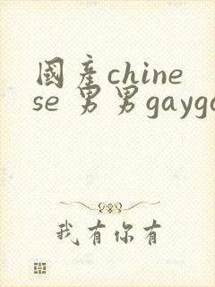 国产chinese 男男gaygay网站