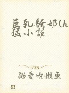 巨乳骚奶(h)猛小说