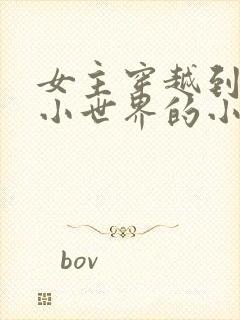 女主穿越到各种小世界的小说