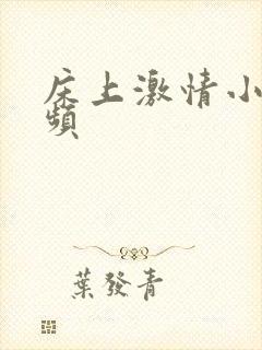 床上激情小说视频