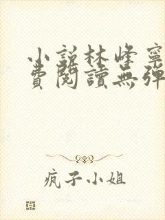 小说林峰宁欣免费阅读无弹窗封面