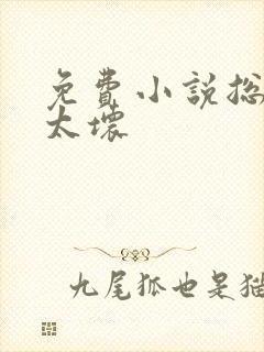 免费小说总裁别太坏