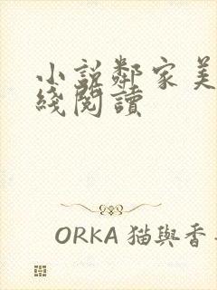 小说邻家美姨在线阅读