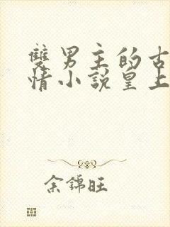 双男主的古代言情小说皇上和摄政王