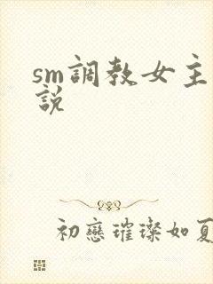 sm调教女主小说封面
