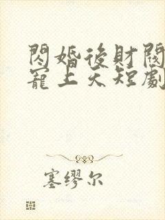 闪婚后财阀老公宠上天短剧