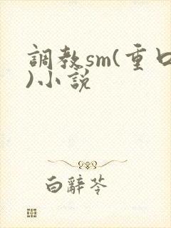 调教sm(重口)小说