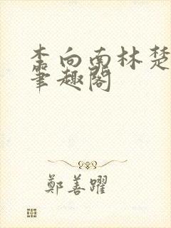 李向南林楚乔新笔趣阁封面