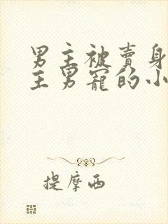 男主被卖身做女主男宠的小说