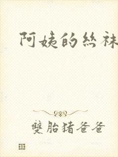 阿姨的丝袜小说