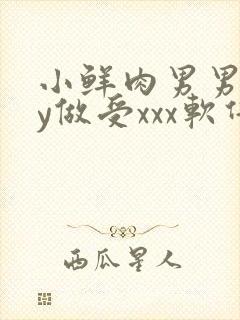 小鲜肉男男gay做受xxx软件封面