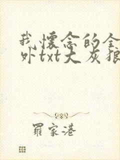 我怀念的全文番外txt大灰狼