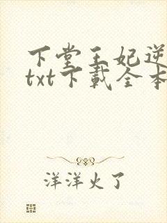 下堂王妃逆袭记txt下载全本封面