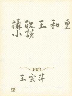 摄政王和皇后的小说