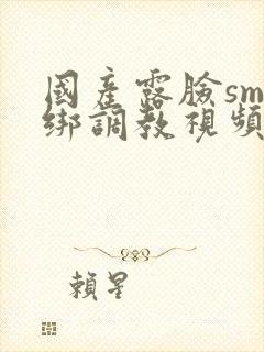 国产露脸sm捆绑调教视频封面