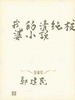 我的清纯校花老婆小说