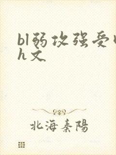 bl弱攻强受肉h文