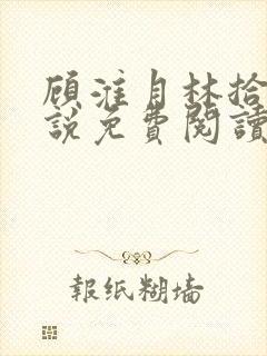 顾淮月林拾安小说免费阅读最新章节