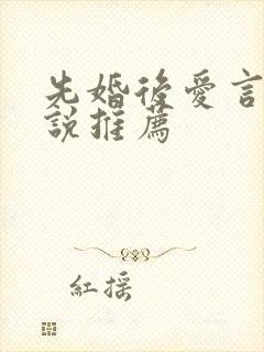 先婚后爱言情小说推荐封面