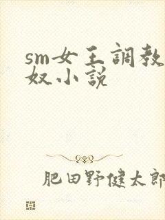 sm女王调教男奴小说