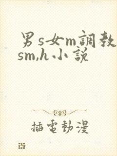 男s女m调教(sm,h小说