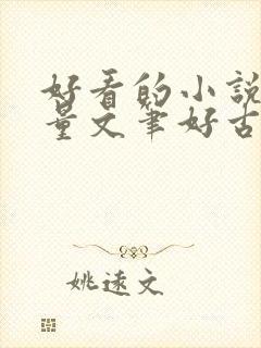 好看的小说高质量文笔好古言