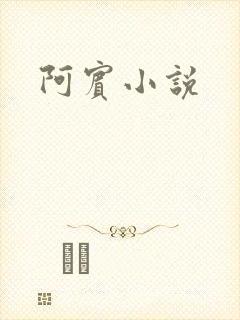 阿宾小说