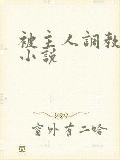 被主人调教sm小说