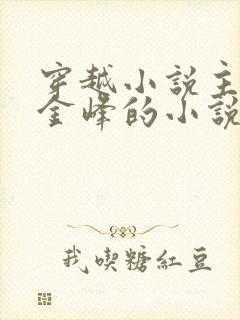 穿越小说主人公金峰的小说封面