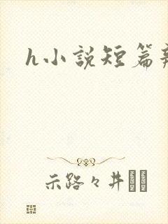 h小说短篇辣文封面
