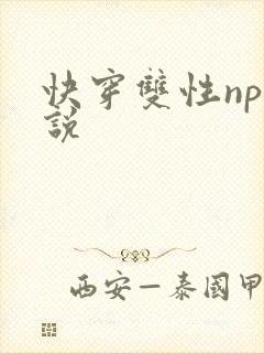 快穿双性np小说封面