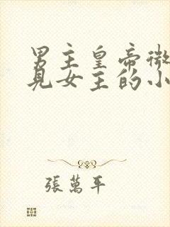 男主皇帝微服遇见女主的小说