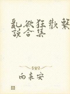 乱欲狂欢系列小说合集封面