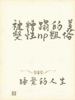 被糟蹋的美人(双性np粗俗)