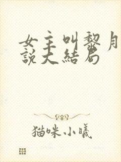 女主叫黎月的小说大结局