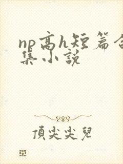 np高h短篇合集小说