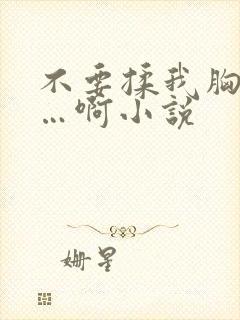 不要揉我胸嗯……啊小说