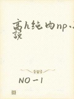 高h纯肉np小说