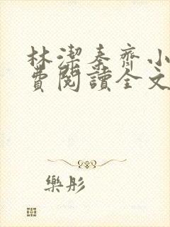 林洁秦齐小说免费阅读全文最新章节