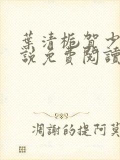 叶清栀贺少衍小说免费阅读最新章节封面