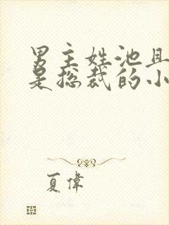 男主姓池且男主是总裁的小说