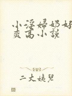 小淫妇奶好大好爽高小说封面