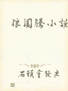 狼图腾小说封面