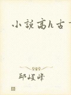 小说高h古言封面