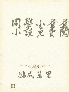 同学小爸爸李凯小说免费阅读全文